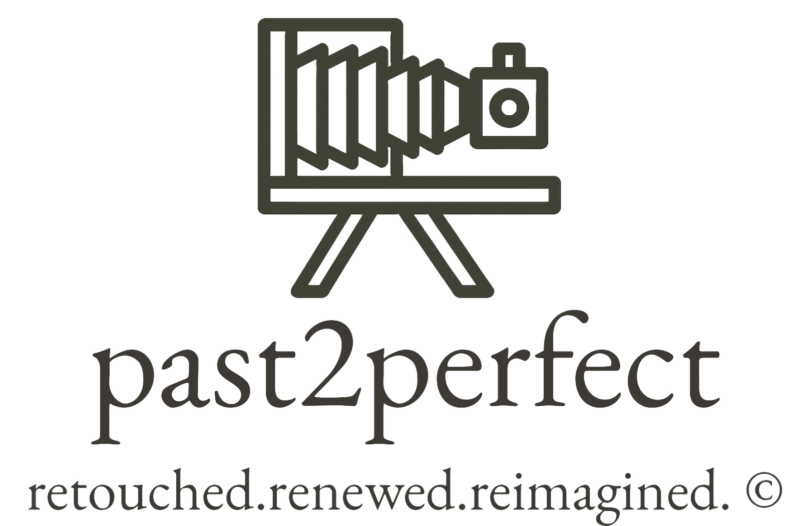Past2Perfect logo